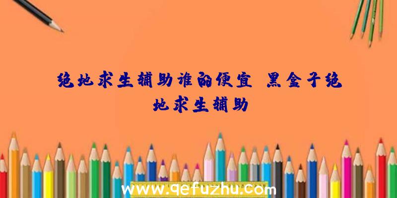 绝地求生辅助谁的便宜、黑盒子绝地求生辅助