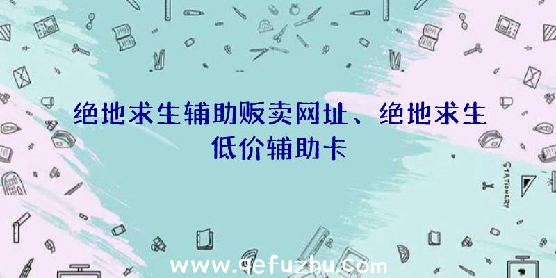 绝地求生辅助贩卖网址、绝地求生低价辅助卡