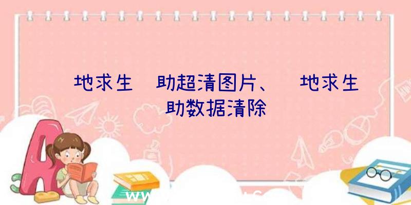 绝地求生辅助超清图片、绝地求生辅助数据清除