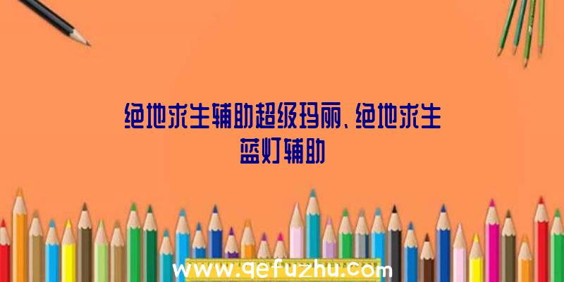 绝地求生辅助超级玛丽、绝地求生蓝灯辅助