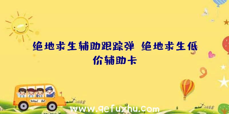 绝地求生辅助跟踪弹、绝地求生低价辅助卡