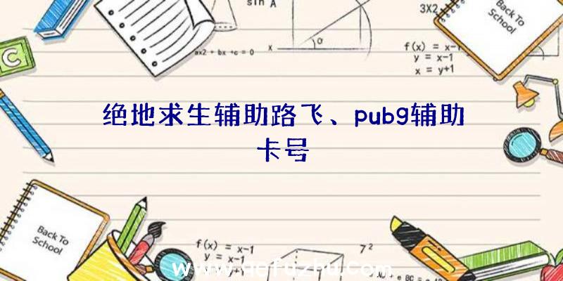 绝地求生辅助路飞、pubg辅助卡号