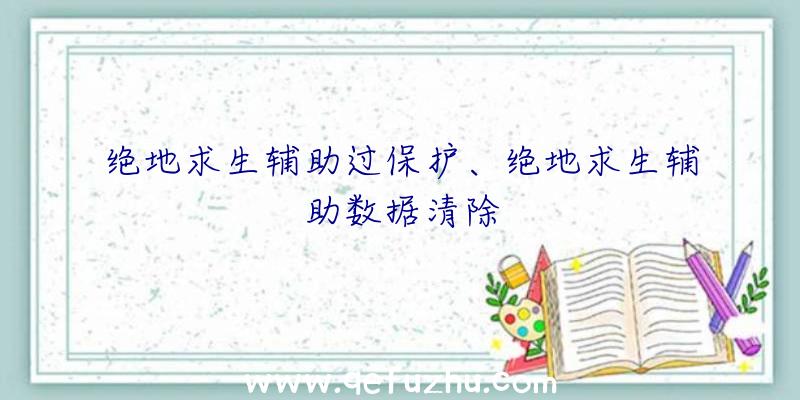 绝地求生辅助过保护、绝地求生辅助数据清除