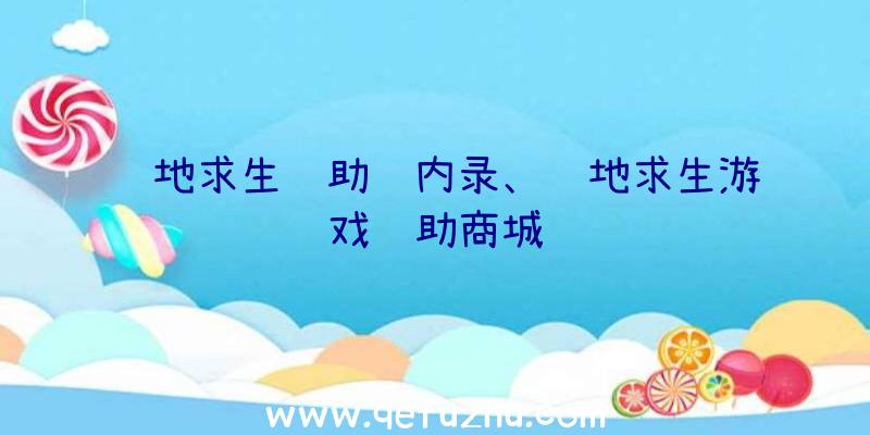 绝地求生辅助过内录、绝地求生游戏辅助商城