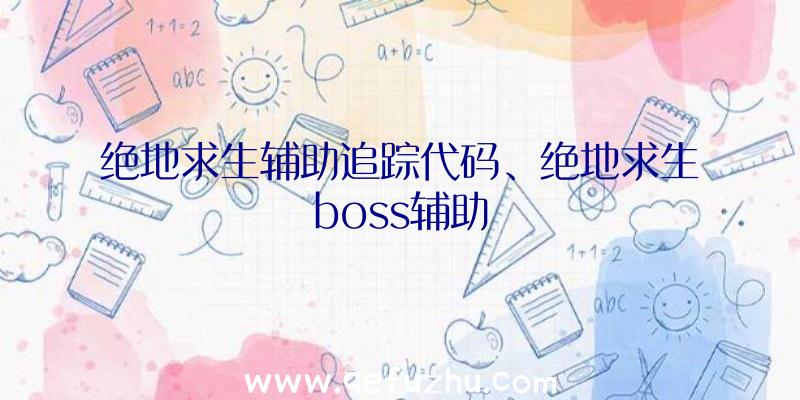 绝地求生辅助追踪代码、绝地求生boss辅助