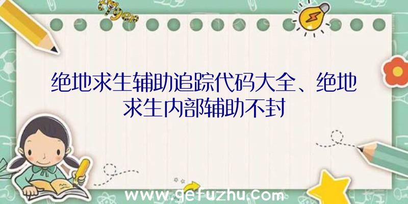 绝地求生辅助追踪代码大全、绝地求生内部辅助不封