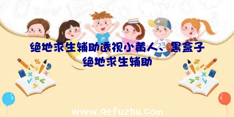 绝地求生辅助透视小黄人、黑盒子绝地求生辅助