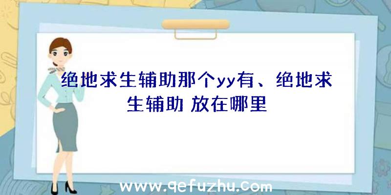 绝地求生辅助那个yy有、绝地求生辅助