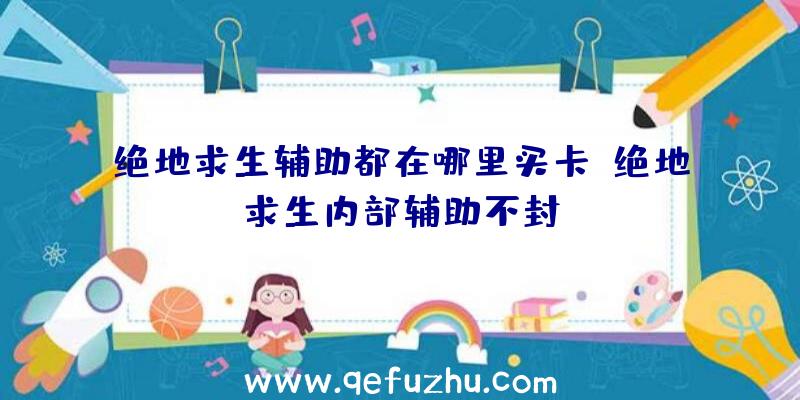 绝地求生辅助都在哪里买卡、绝地求生内部辅助不封