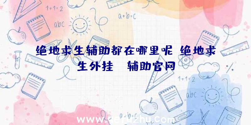 绝地求生辅助都在哪里呢、绝地求生外挂jr辅助官网