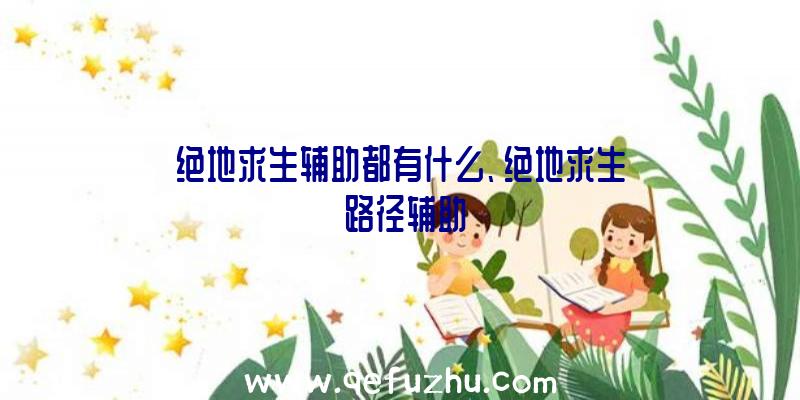 绝地求生辅助都有什么、绝地求生