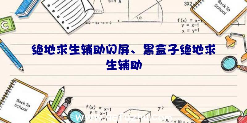 绝地求生辅助闪屏、黑盒子绝地求生辅助