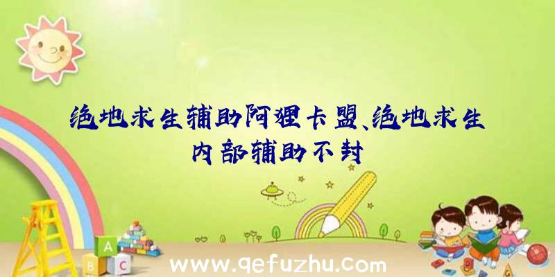 绝地求生辅助阿狸卡盟、绝地求生内部辅助不封