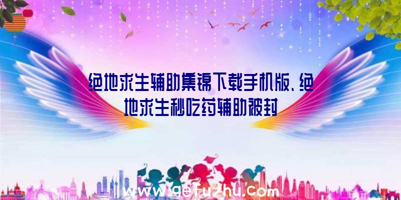 绝地求生辅助集锦下载手机版、绝地求生秒吃药辅助被封