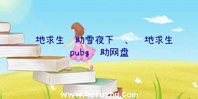 绝地求生辅助雪夜下载、绝地求生pubg辅助网盘