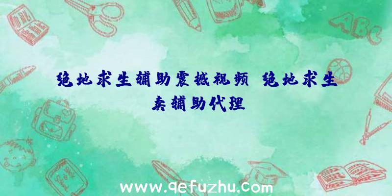 绝地求生辅助震撼视频、绝地求生卖辅助代理