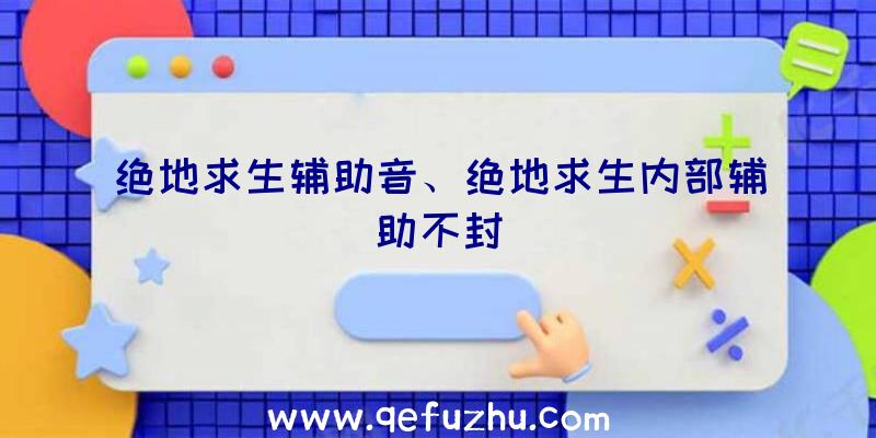 绝地求生辅助音、绝地求生内部辅助不封