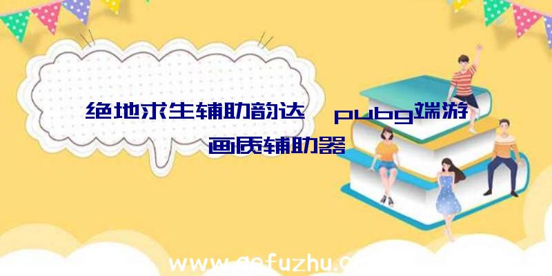 绝地求生辅助韵达、pubg端游画质辅助器