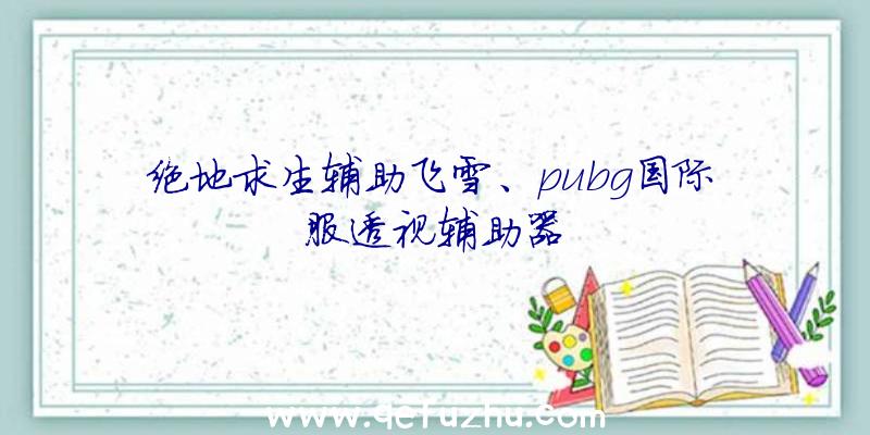 绝地求生辅助飞雪、pubg国际服透视辅助器