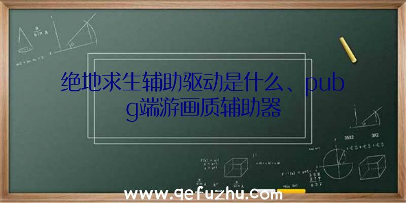 绝地求生辅助驱动是什么、pubg端游画质辅助器