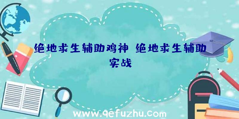 绝地求生辅助鸡神、绝地求生辅助实战