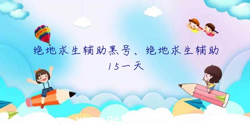 绝地求生辅助黑号、绝地求生辅助15一天