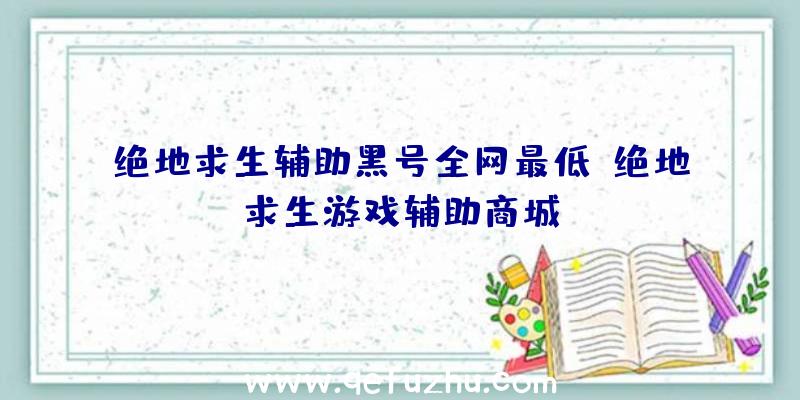 绝地求生辅助黑号全网最低、绝地求生游戏辅助商城