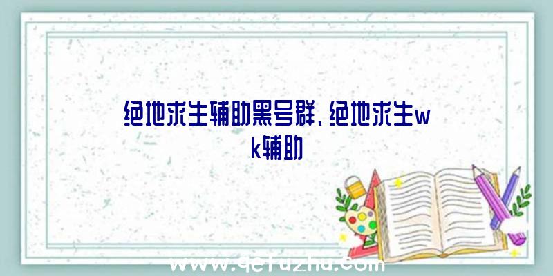 绝地求生辅助黑号群、绝地求生wk辅助