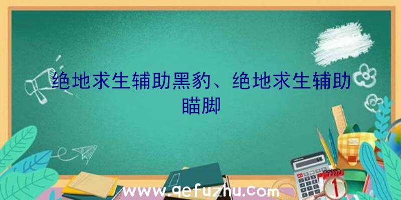 绝地求生辅助黑豹、绝地求生辅助瞄脚