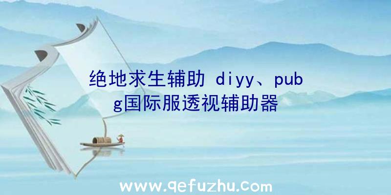 绝地求生辅助+diyy、pubg国际服透视辅助器