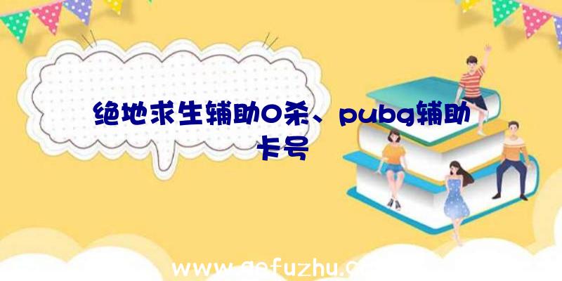 绝地求生辅助0杀、pubg辅助卡号