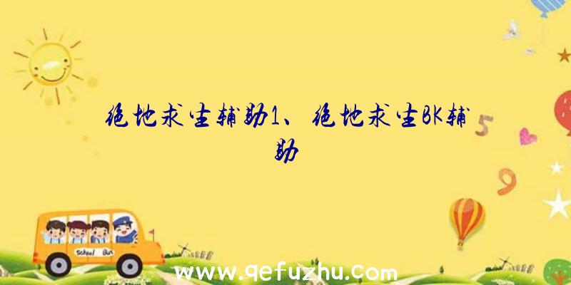 绝地求生辅助1、绝地求生BK辅助