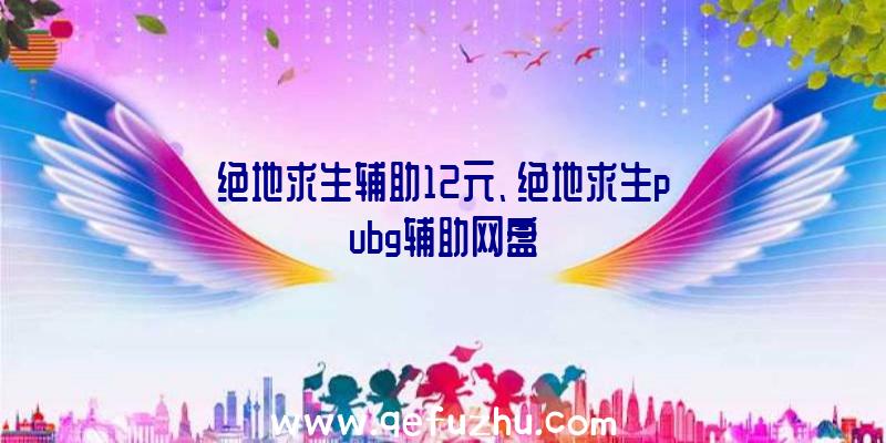 绝地求生辅助12元、绝地求生pubg辅助网盘