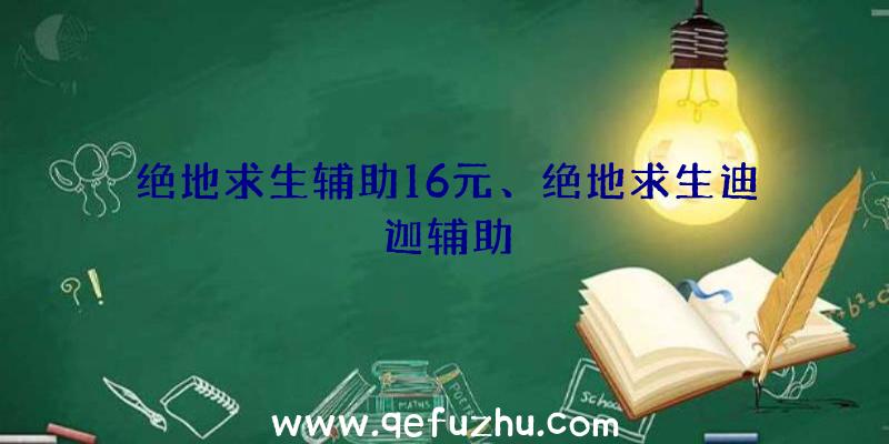 绝地求生辅助16元、绝地求生迪迦辅助