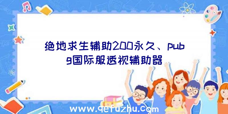 绝地求生辅助200永久、pubg国际服透视辅助器