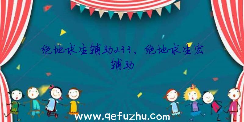 绝地求生辅助233、绝地求生宏辅助