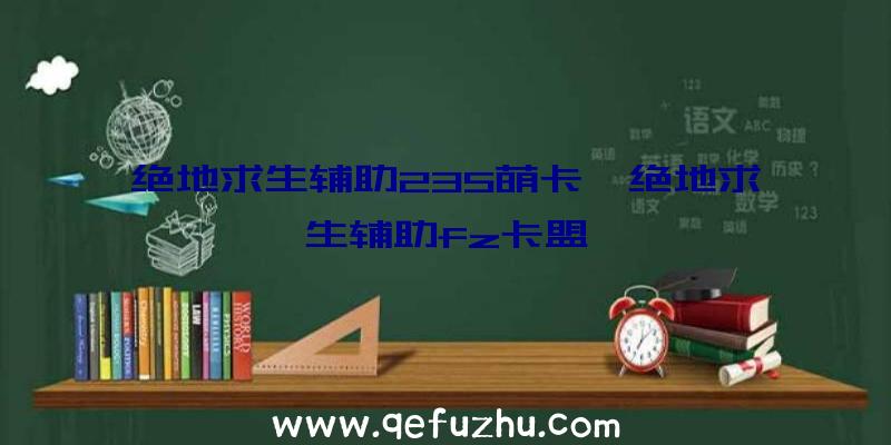 绝地求生辅助235萌卡、绝地求生辅助fz卡盟