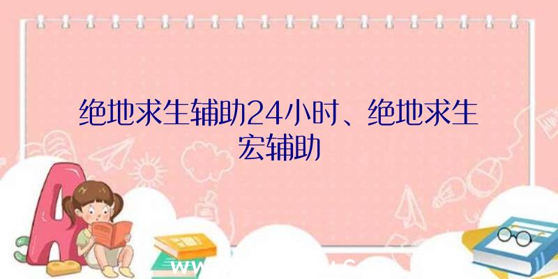 绝地求生辅助24小时、绝地求生宏辅助