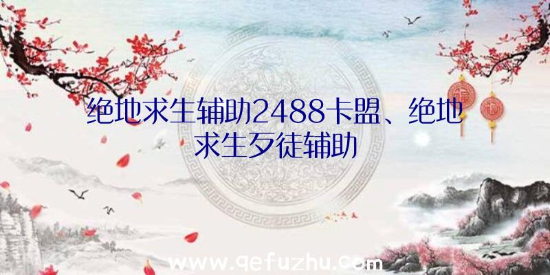 绝地求生辅助2488卡盟、绝地求生歹徒辅助