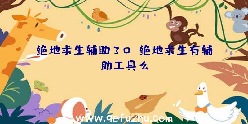 绝地求生辅助30、绝地求生有辅助工具么