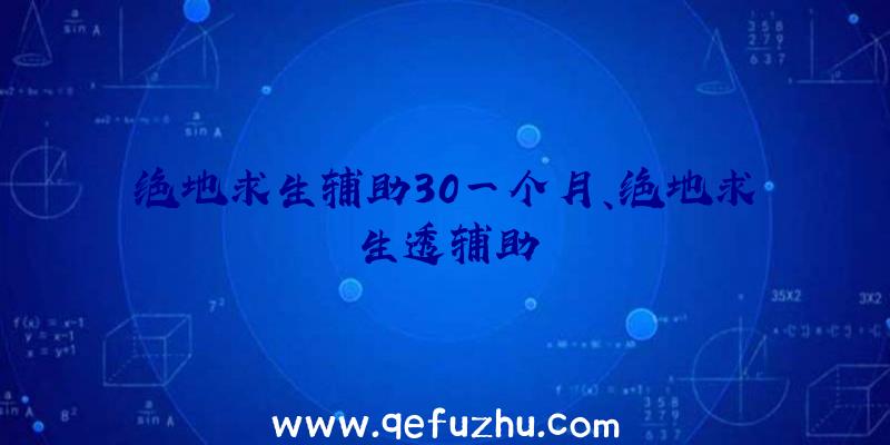 绝地求生辅助30一个月、绝地求生透辅助