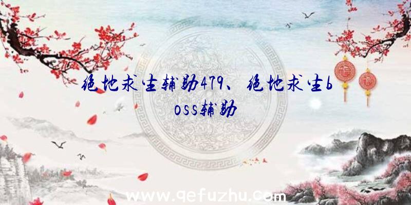 绝地求生辅助479、绝地求生boss辅助