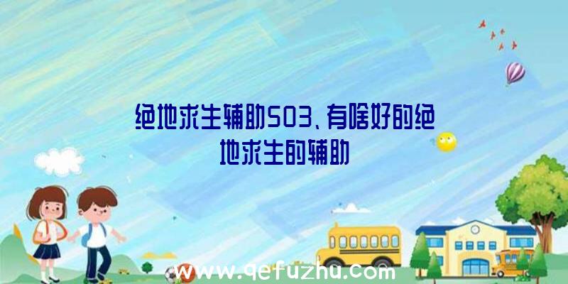 绝地求生辅助503、有啥好的绝地求生的辅助