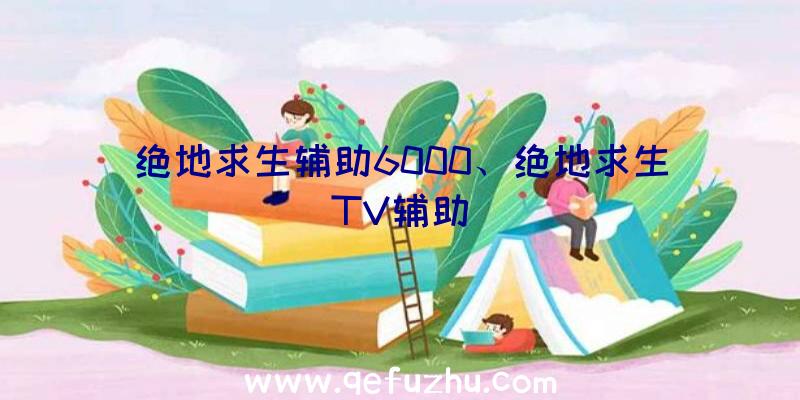 绝地求生辅助6000、绝地求生TV辅助