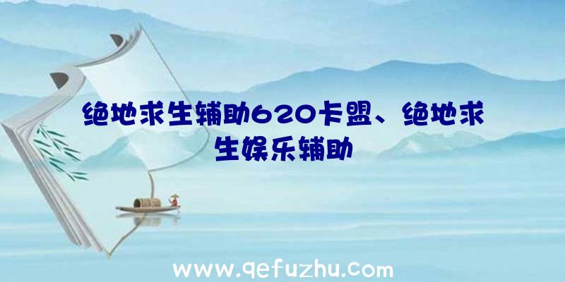 绝地求生辅助620卡盟、绝地求生娱乐辅助