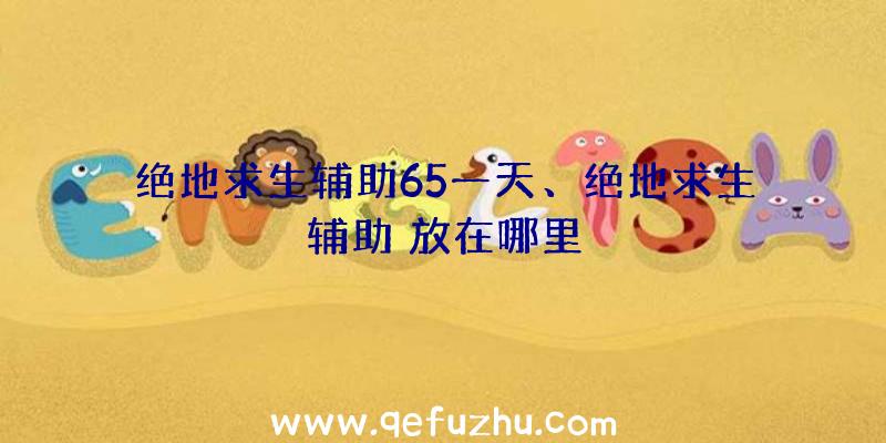 绝地求生辅助65一天、绝地求生辅助