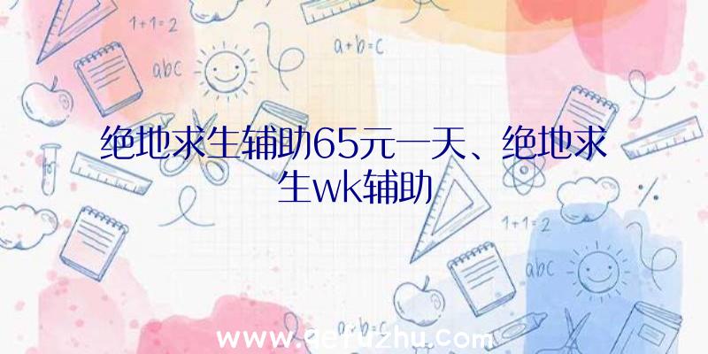 绝地求生辅助65元一天、绝地求生wk辅助