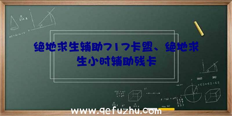 绝地求生辅助717卡盟、绝地求生小时辅助残卡