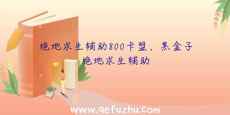 绝地求生辅助800卡盟、黑盒子绝地求生辅助