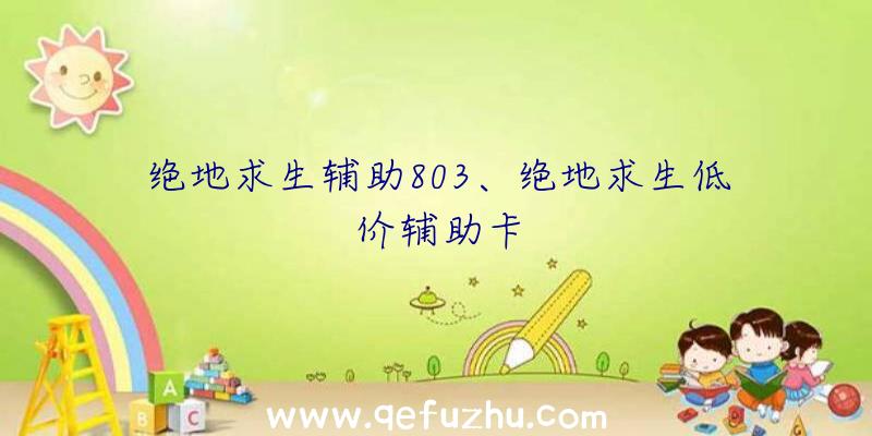 绝地求生辅助803、绝地求生低价辅助卡